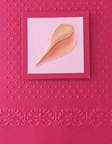 Pretty Penny Designs, Pink Shell