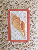 Pretty Penny Designs, Seashell Pink